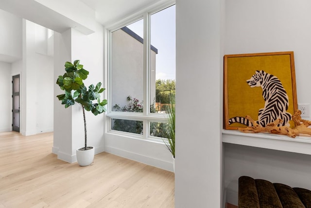 1119 Fairmount Ave, Austin, TX 78704 - photo 12
