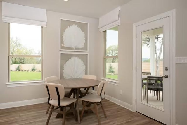 217 Peach Orchard Ln, Georgetown, TX 78628 - dining room featuring healthy amount of natural light, wood finished floors, and baseboards
