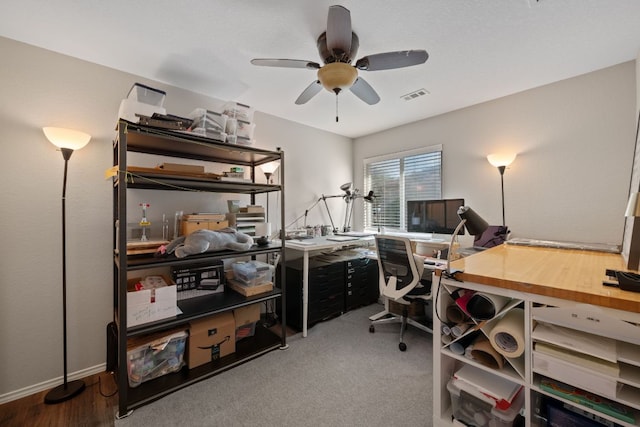 229 Wild Plum, San Marcos, TX 78666 - office area with ceiling fan