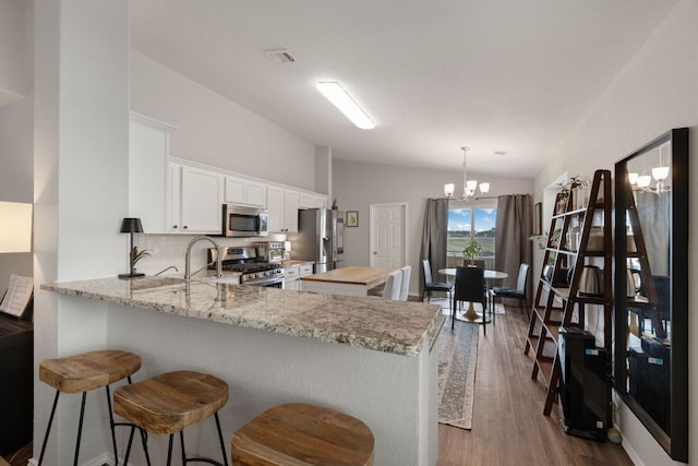 229 Wild Plum, San Marcos, TX 78666 - kitchen with appliances with stainless steel finishes, vaulted ceiling, a peninsula, dark wood-style flooring, and white cabinetry