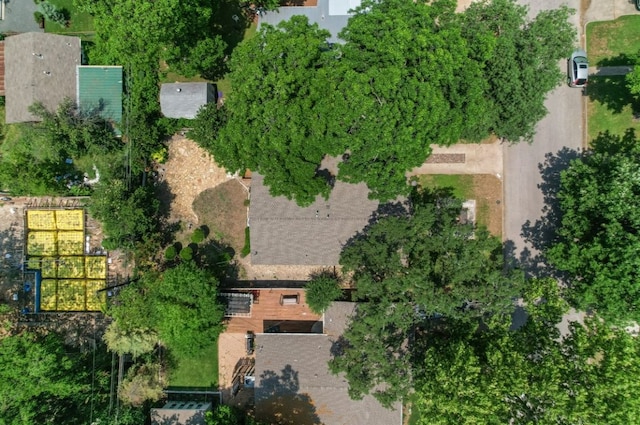 1009 Alegria Rd, Austin, TX 78757 - photo 22