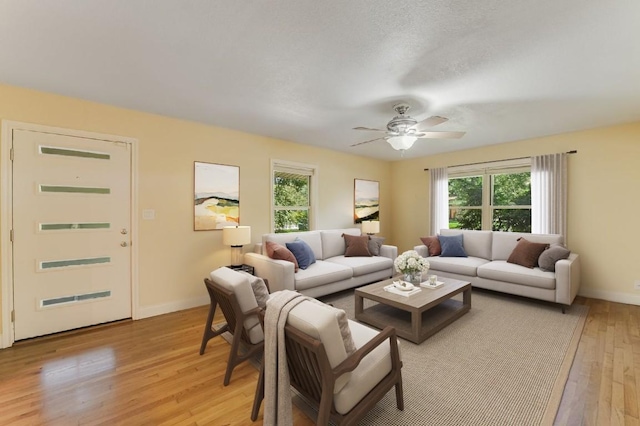 1009 Alegria Rd, Austin, TX 78757 - photo 2