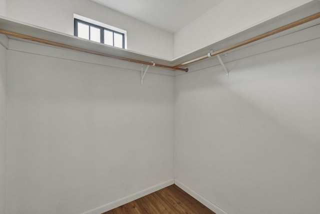 1219 Canyon Trce, Canyon Lake, TX 78133 - walk in closet featuring dark wood finished floors