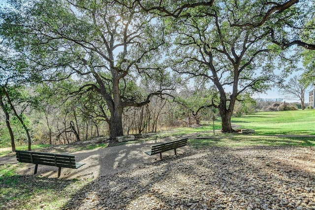 12166 Metric Blvd Unit 257, Austin, TX 78758 - photo 22