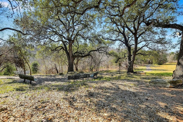 12166 Metric Blvd Unit 257, Austin, TX 78758 - photo 24