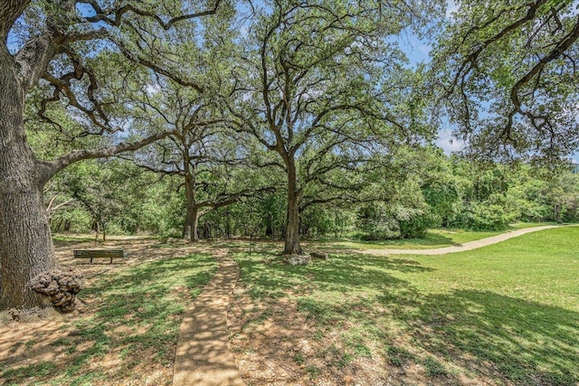 12166 Metric Blvd Unit 257, Austin, TX 78758 - photo 29