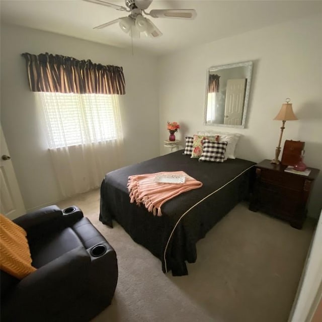 507 Dusty Leather Ct, Pflugerville, TX 78660 - carpeted bedroom with a ceiling fan