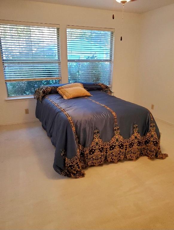 507 Dusty Leather Ct, Pflugerville, TX 78660 - bedroom with carpet flooring and baseboards