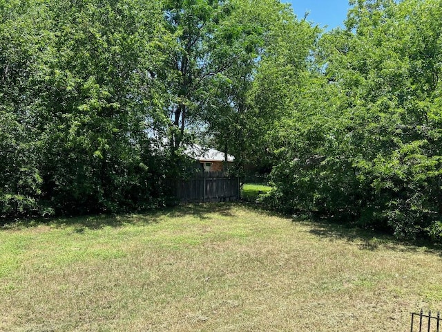 1010 Wayne Dr, Round Rock, TX 78664 - view of yard