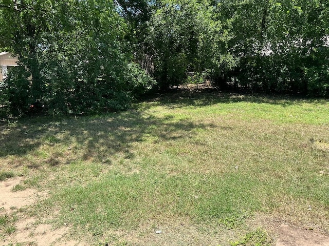 1010 Wayne Dr, Round Rock, TX 78664 - view of grassy yard