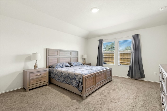 101 Calgary Ln, San Marcos, TX 78666 - bedroom featuring light carpet