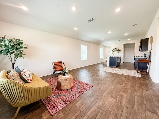 101 Calgary Ln, San Marcos, TX 78666 - living area with wood finished floors and recessed lighting