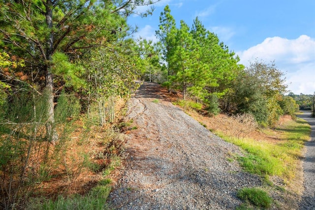 TBD Winfield Thicket Rd, Smithville, TX 78602