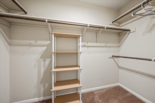 14513 Martial Eagle Dr, Elgin, TX 78621 - spacious closet featuring carpet floors