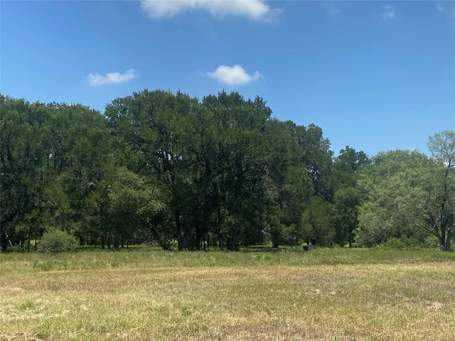 2477 State Highway 159, La Grange, TX 78945 - photo 2
