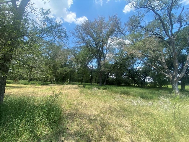 2477 State Highway 159, La Grange, TX 78945 - photo 4