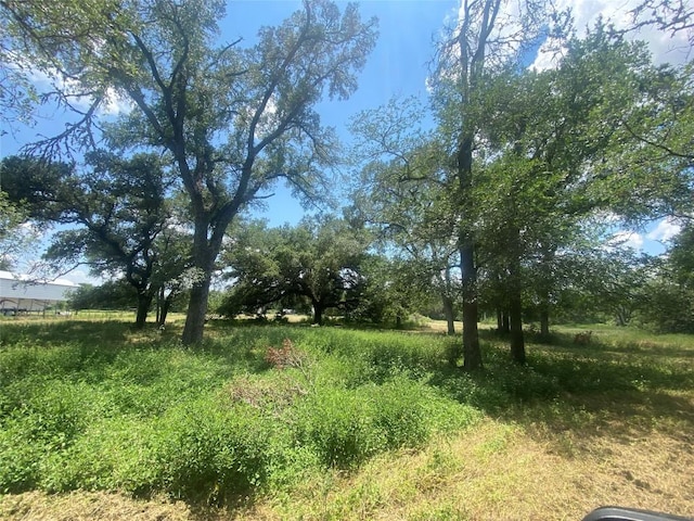 2477 State Highway 159, La Grange, TX 78945 - photo 5