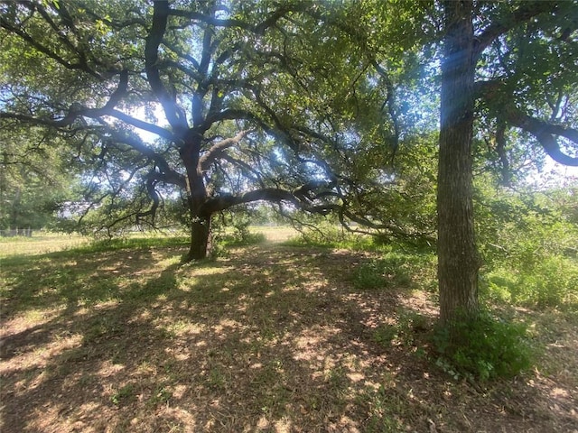 2477 State Highway 159, La Grange, TX 78945 - photo 6