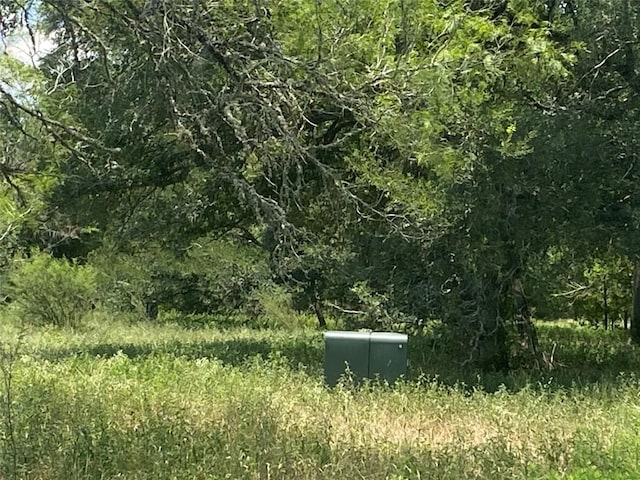 2477 State Highway 159, La Grange, TX 78945 - photo 7