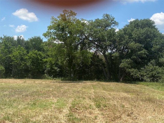 2477 State Highway 159, La Grange, TX 78945 - photo 8