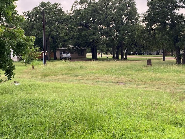 406 Fordtrand St, Ellinger, TX 78938 - photo 1