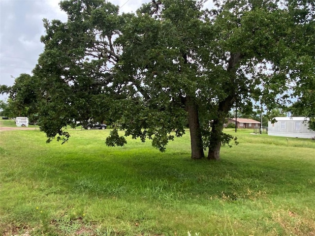 406 Fordtrand St, Ellinger, TX 78938 - photo 6