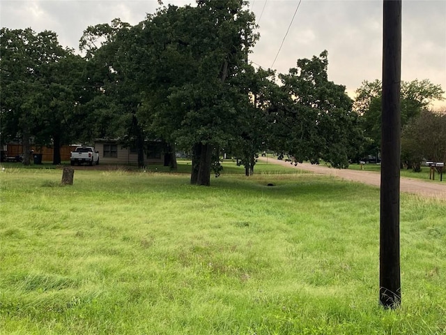 406 Fordtrand St, Ellinger, TX 78938 - photo 8