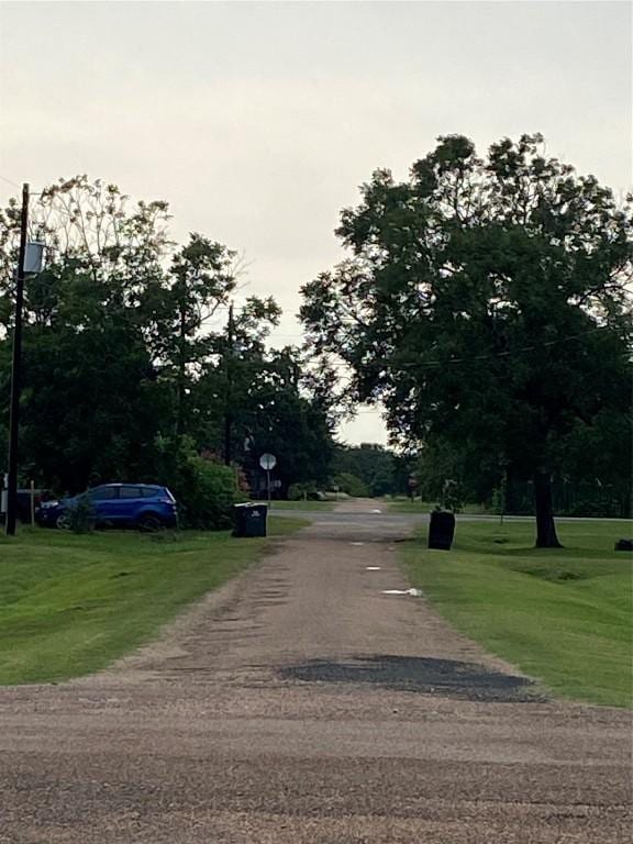 406 Fordtrand St, Ellinger, TX 78938 - photo 17