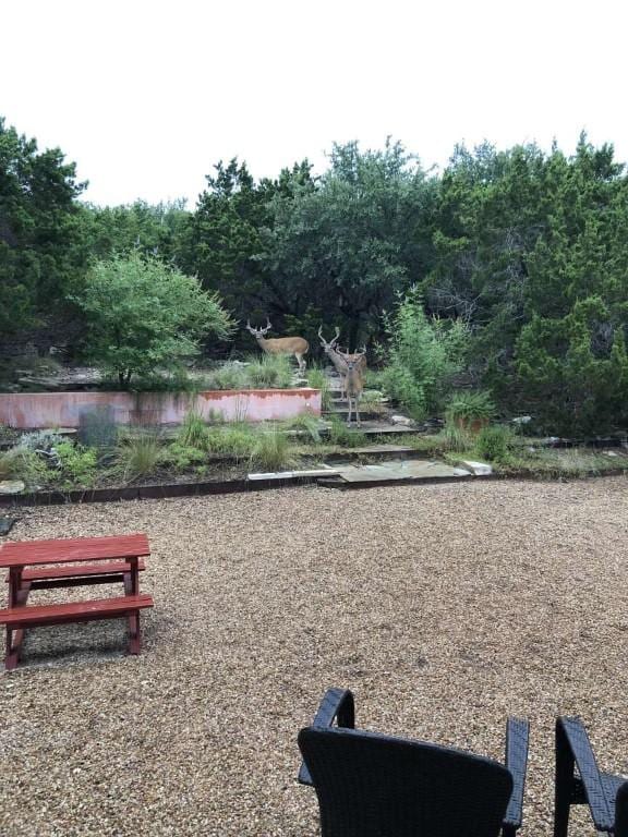 18220 Shepherds Corral, Dripping Springs, TX 78620 - photo 7