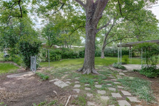 2502 Greenlawn Pkwy, Austin, TX 78757 - view of green lawn