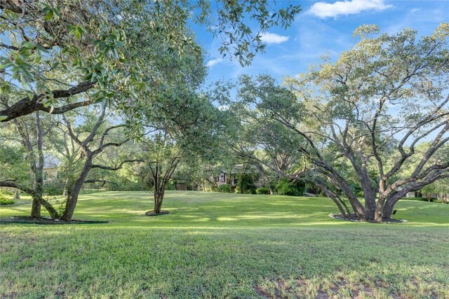 4812 Mantle Dr, Austin, TX 78746 - view of green lawn