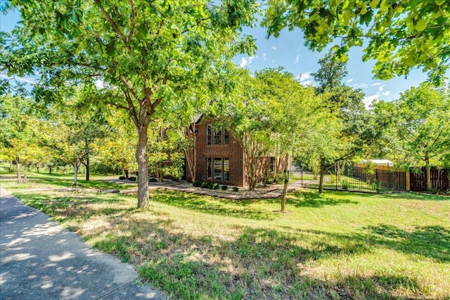 8210 Landsman Dr, Austin, TX 78736 - view of yard