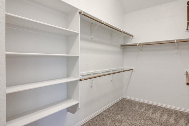 216 Allegrini St, Leander, TX 78641 - spacious closet with carpet