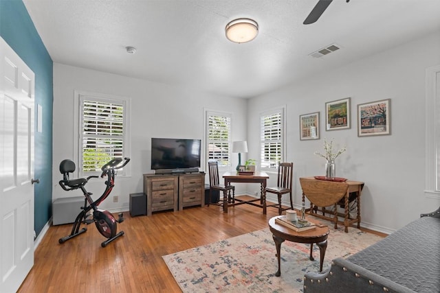 1922 W Lake Dr, Taylor, TX 76574 - living room featuring wood finished floors, healthy amount of natural light, and ceiling fan