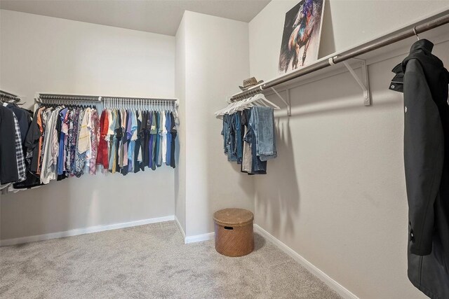 1407 Brashear Ct, Cedar Park, TX 78613 - spacious closet featuring carpet floors