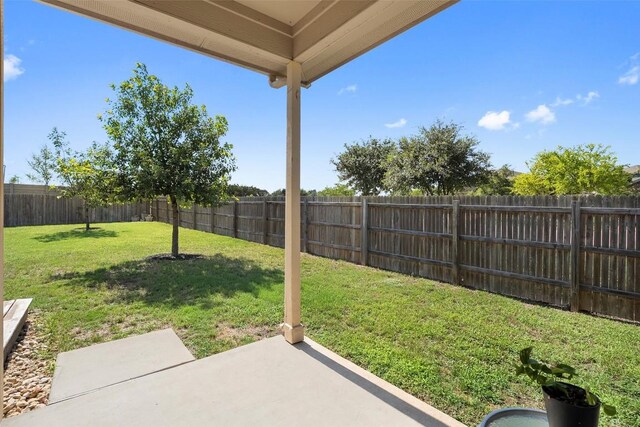 1407 Brashear Ct, Cedar Park, TX 78613 - fenced backyard featuring a patio