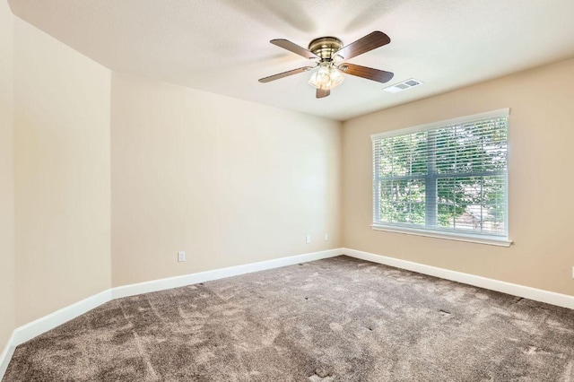 2410 Falmer Ct, Cedar Park, TX 78613 - photo 22