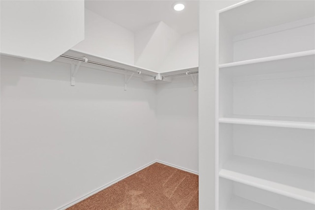 13308 Nancy Reagan St, Manor, TX 78653 - walk in closet featuring carpet flooring