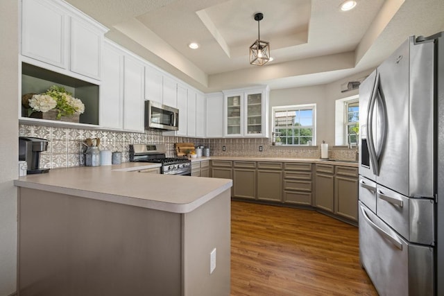 1201 County Road 229, Florence, TX 76527 - kitchen with a tray ceiling, stainless steel appliances, a peninsula, tasteful backsplash, and recessed lighting