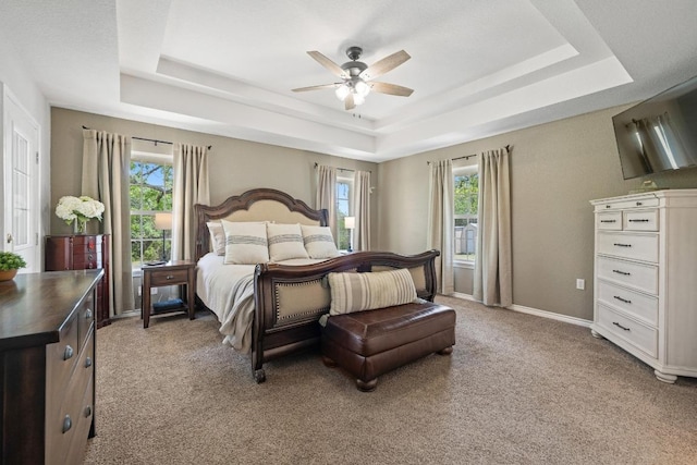 1201 County Road 229, Florence, TX 76527 - bedroom with a tray ceiling, light colored carpet, and ceiling fan