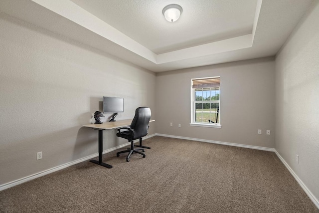 1201 County Road 229, Florence, TX 76527 - carpeted office space featuring baseboards and a raised ceiling