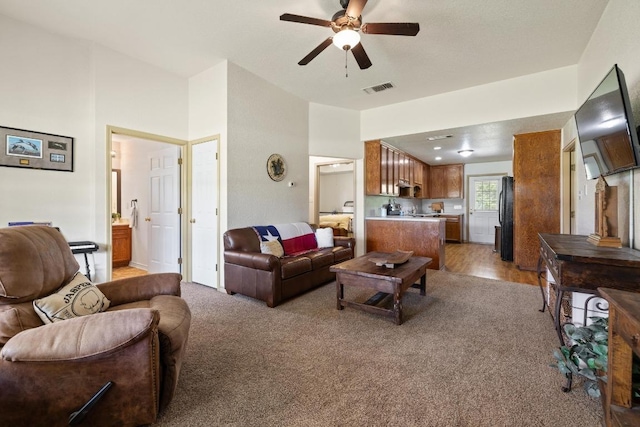 1201 County Road 229, Florence, TX 76527 - living area featuring ceiling fan and light carpet