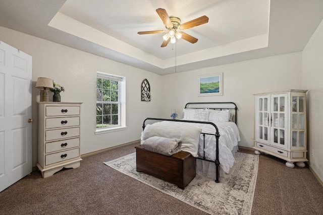 1201 County Road 229, Florence, TX 76527 - bedroom with carpet floors, a raised ceiling, and ceiling fan