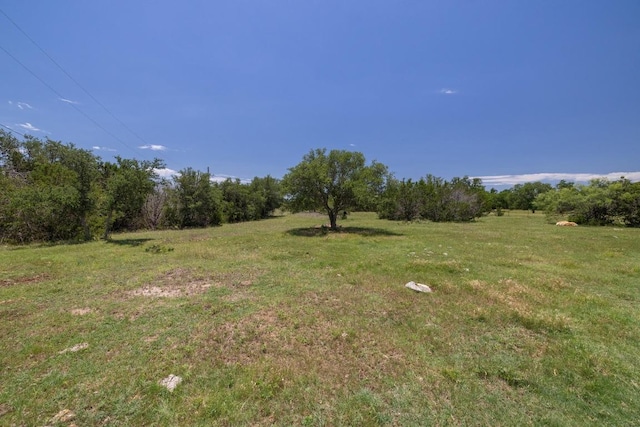 1201 County Road 229, Florence, TX 76527 - view of green lawn