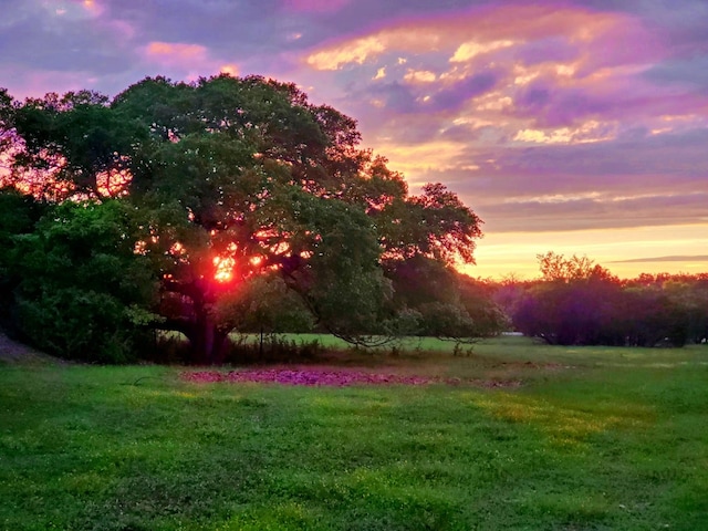 1201 County Road 229, Florence, TX 76527 - view of property's community featuring a yard