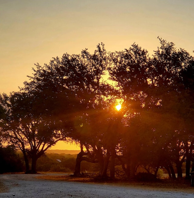 1201 County Road 229, Florence, TX 76527 - view of local wilderness