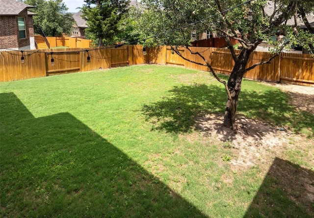 4225 Borho Ranch St, Leander, TX 78641 - view of fenced backyard
