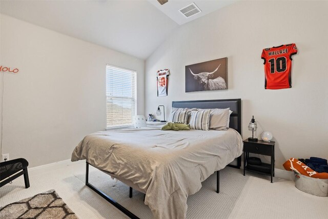 4225 Borho Ranch St, Leander, TX 78641 - bedroom with carpet and lofted ceiling