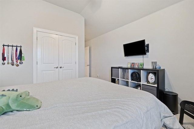 4225 Borho Ranch St, Leander, TX 78641 - bedroom featuring a closet