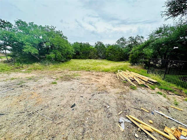 619 Sage Thrasher Cir, Dripping Springs, TX 78620 - view of yard
